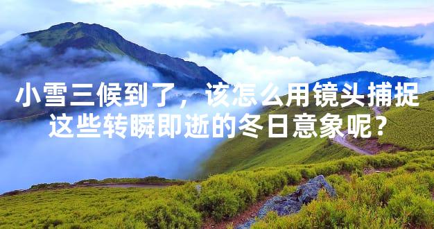 小雪三候到了，该怎么用镜头捕捉这些转瞬即逝的冬日意象呢？