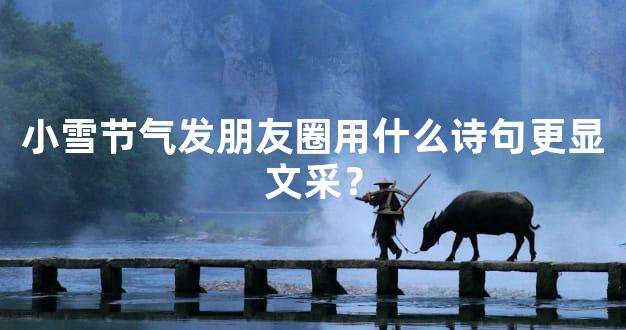小雪节气发朋友圈用什么诗句更显文采？