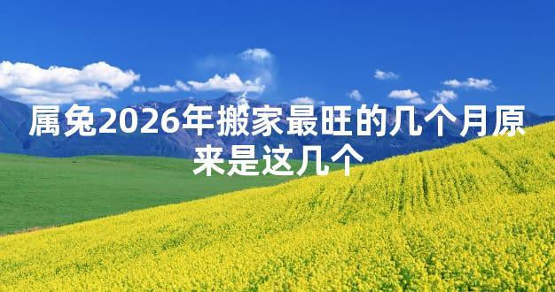 属兔2026年搬家最旺的几个月原来是这几个