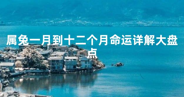 属兔一月到十二个月命运详解大盘点