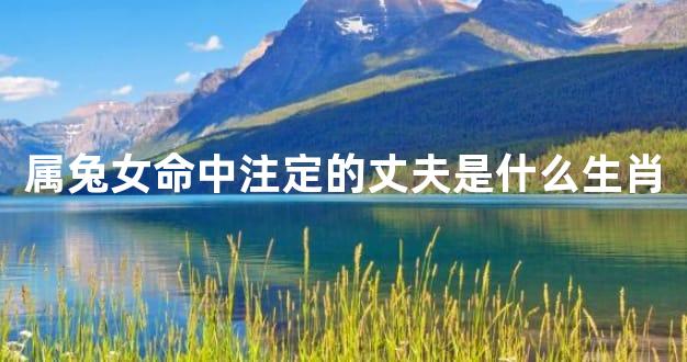 属兔女命中注定的丈夫是什么生肖