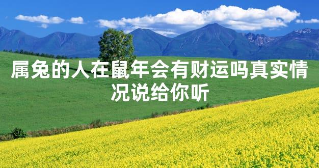 属兔的人在鼠年会有财运吗真实情况说给你听