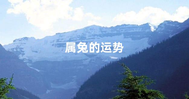 属兔的运势