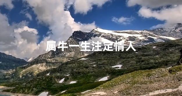 属牛一生注定情人