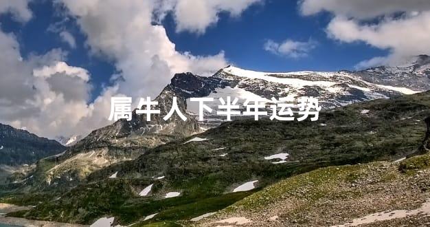属牛人下半年运势