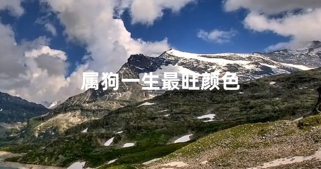 属狗一生最旺颜色