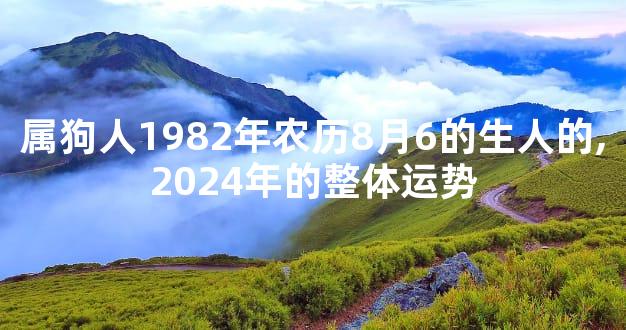 属狗人1982年农历8月6的生人的,2024年的整体运势