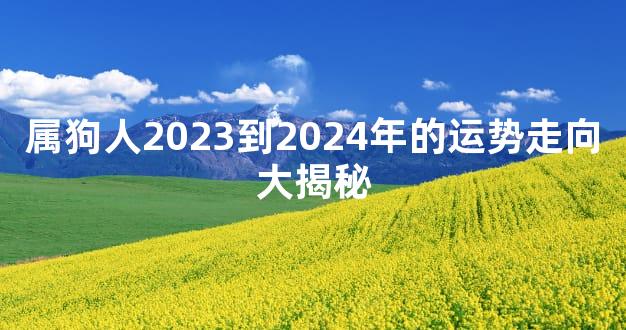 属狗人2023到2024年的运势走向大揭秘