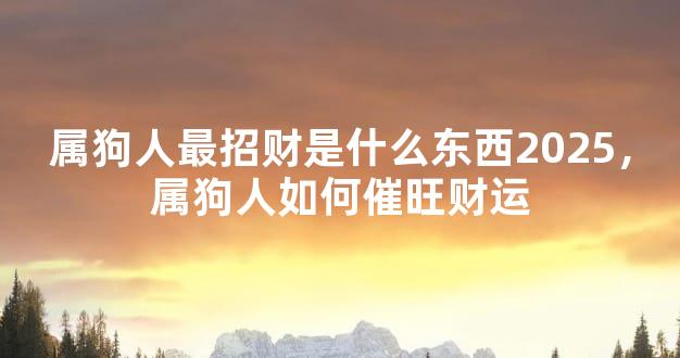 属狗人最招财是什么东西2025，属狗人如何催旺财运