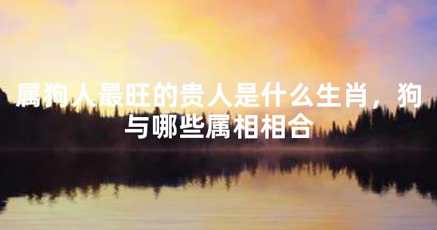 属狗人最旺的贵人是什么生肖，狗与哪些属相相合