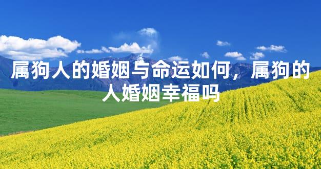 属狗人的婚姻与命运如何，属狗的人婚姻幸福吗