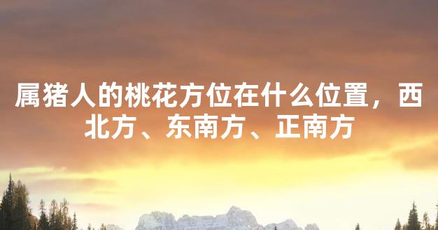 属猪人的桃花方位在什么位置，西北方、东南方、正南方