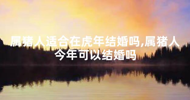 属猪人适合在虎年结婚吗,属猪人今年可以结婚吗