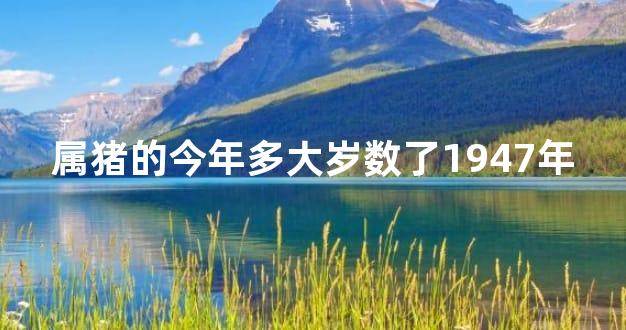属猪的今年多大岁数了1947年