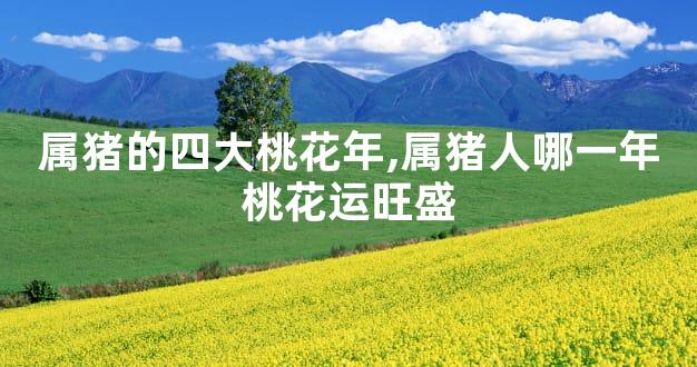 属猪的四大桃花年,属猪人哪一年桃花运旺盛