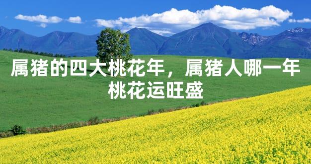 属猪的四大桃花年，属猪人哪一年桃花运旺盛