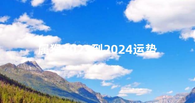 属猴2023到2024运势