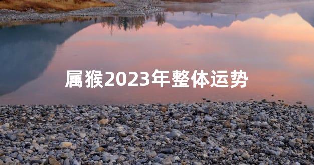 属猴2023年整体运势