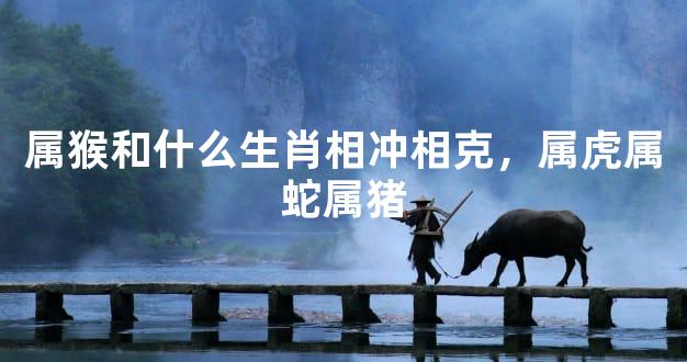 属猴和什么生肖相冲相克，属虎属蛇属猪