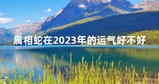 属相蛇在2023年的运气好不好