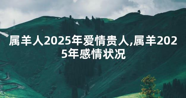 属羊人2025年爱情贵人,属羊2025年感情状况