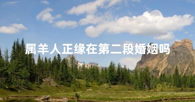 属羊人正缘在第二段婚姻吗