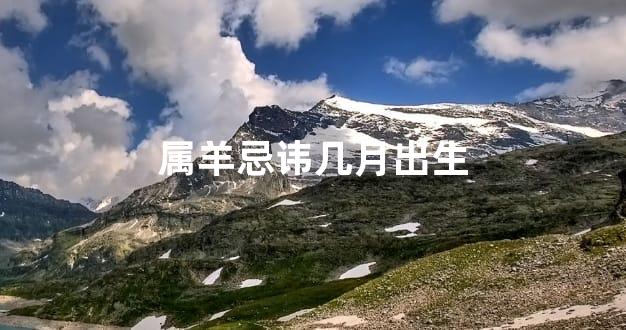 属羊忌讳几月出生