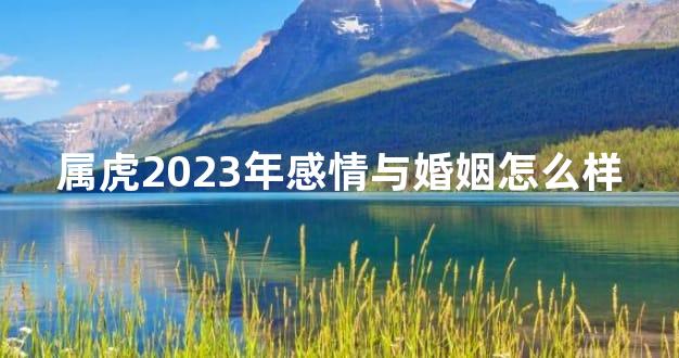 属虎2023年感情与婚姻怎么样