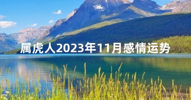 属虎人2023年11月感情运势