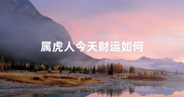 属虎人今天财运如何