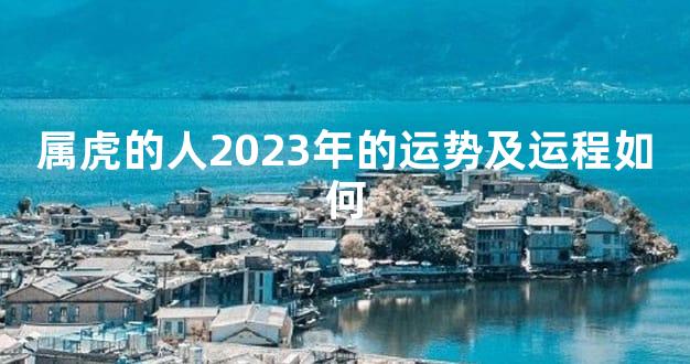 属虎的人2023年的运势及运程如何