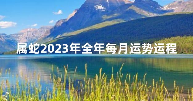 属蛇2023年全年每月运势运程