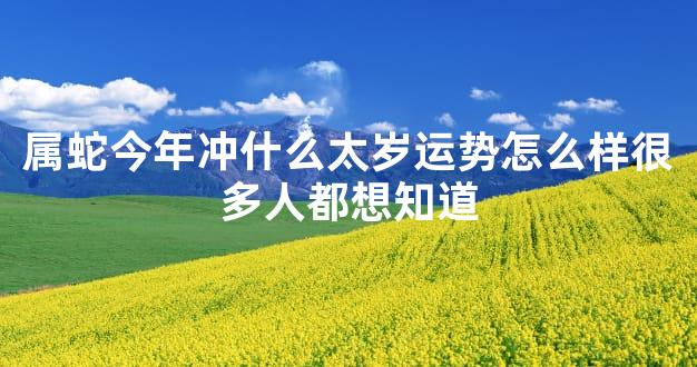 属蛇今年冲什么太岁运势怎么样很多人都想知道