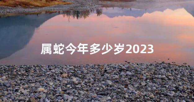 属蛇今年多少岁2023