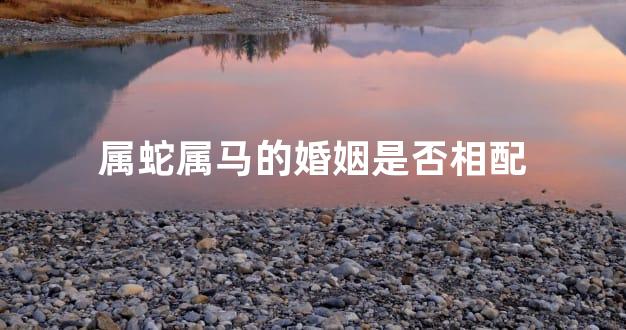 属蛇属马的婚姻是否相配