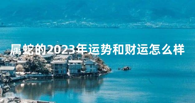 属蛇的2023年运势和财运怎么样