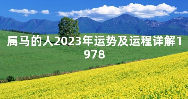属马的人2023年运势及运程详解1978