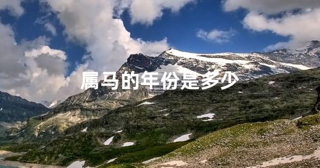 属马的年份是多少