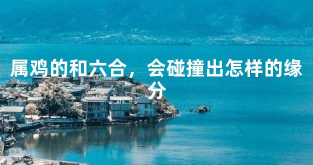 属鸡的和六合，会碰撞出怎样的缘分
