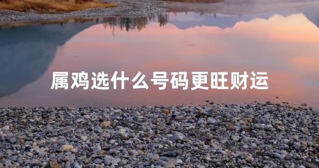 属鸡选什么号码更旺财运