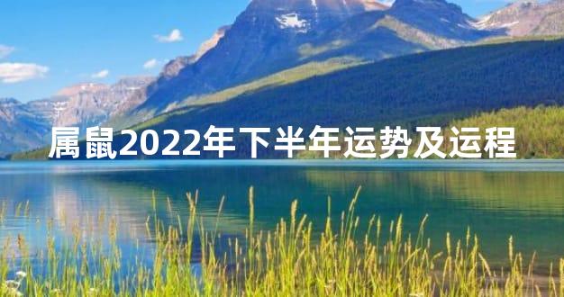 属鼠2022年下半年运势及运程