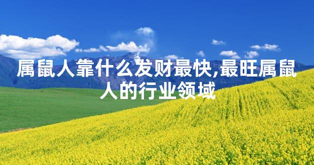 属鼠人靠什么发财最快,最旺属鼠人的行业领域
