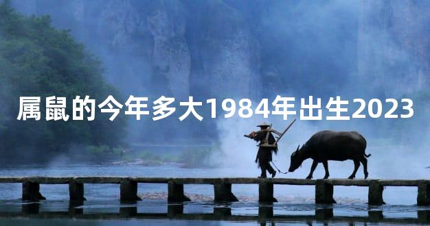 属鼠的今年多大1984年出生2023