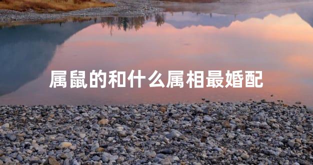 属鼠的和什么属相最婚配