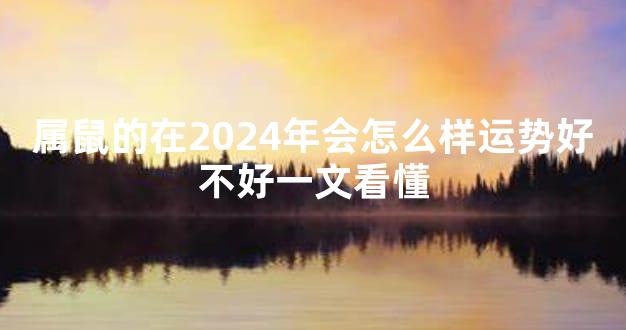 属鼠的在2024年会怎么样运势好不好一文看懂