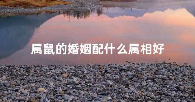 属鼠的婚姻配什么属相好