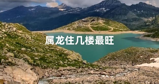 属龙住几楼最旺