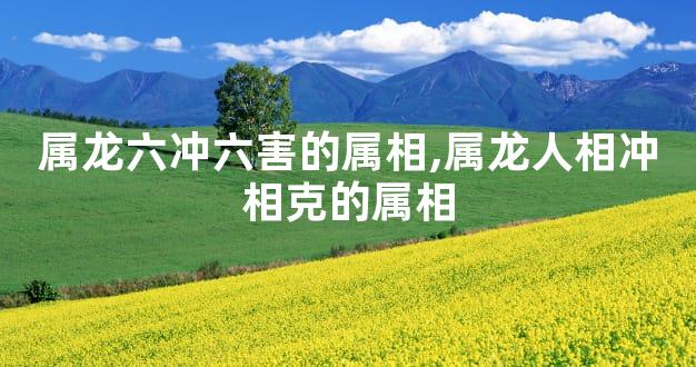 属龙六冲六害的属相,属龙人相冲相克的属相