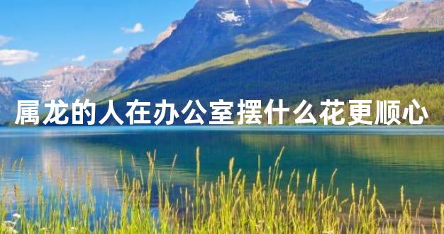 属龙的人在办公室摆什么花更顺心