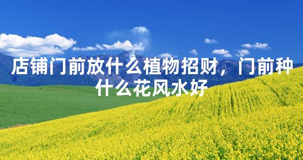 店铺门前放什么植物招财，门前种什么花风水好